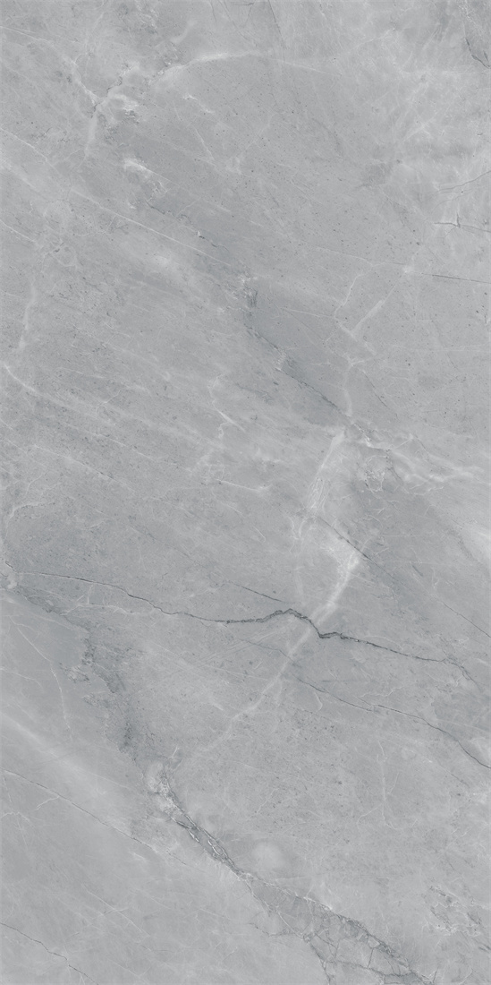 DFTL126156-萊斯特