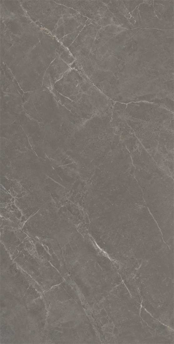 DFTL126161-雅戈丁那灰