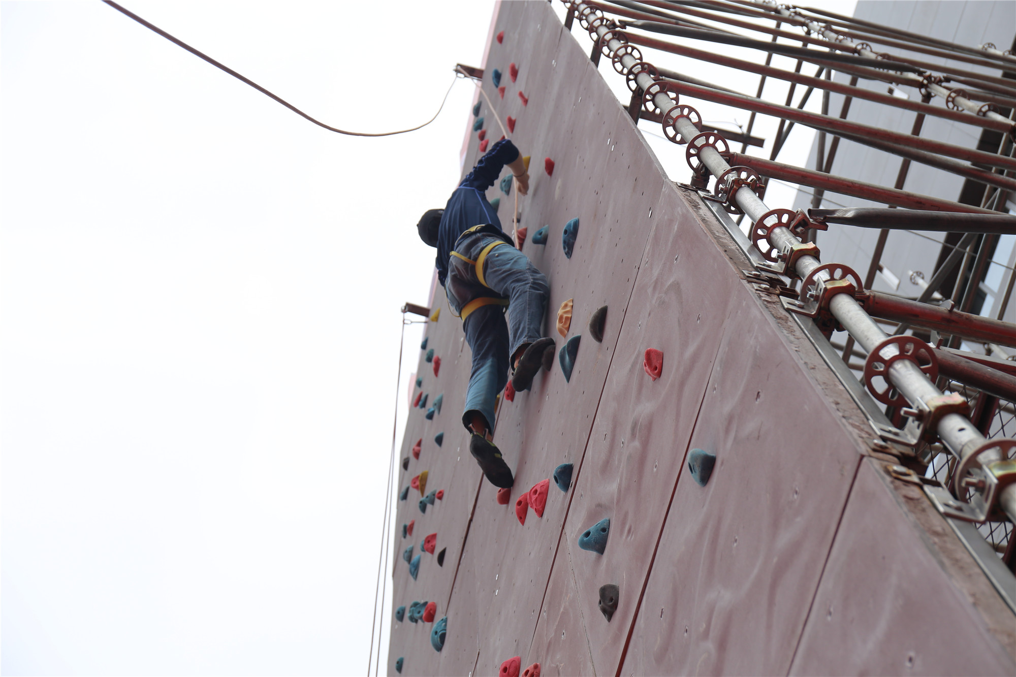 陶博會(huì)，德美攀高望遠(yuǎn)